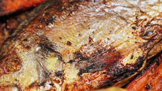 Dorado fish baked in oven with spices and carrots on baking sheet. Close up shot