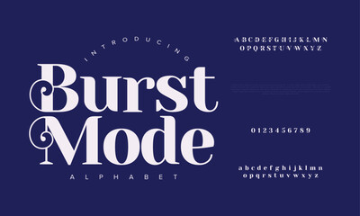 Burstmode premium luxury elegant alphabet letters and numbers. Elegant wedding typography classic serif font decorative vintage retro. Creative vector illustration