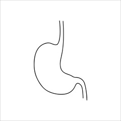 stomach organ vector illustration line concept