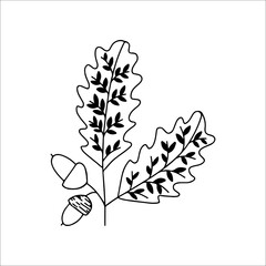 vector illustration of beans with leaves