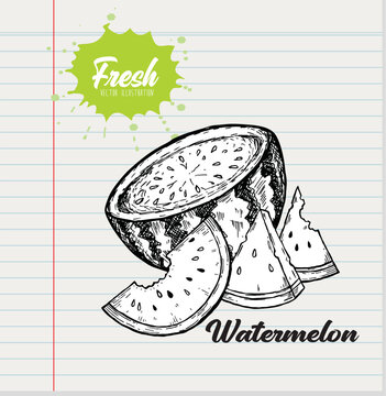 Doodle Slice of watermelon on white paper background 