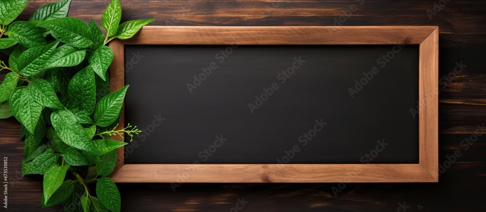 Poster a blackboard with a wooden frame and a green plant frame following an old school design aesthetic se
