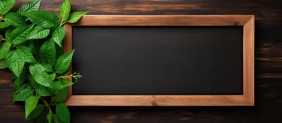 Foto op Plexiglas A blackboard with a wooden frame and a green plant frame following an old school design aesthetic serves as a decorative element It provides a blank space creating a mock up for various pur © 2rogan