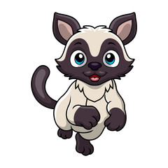 Cute siamese cat cartoon on a white background