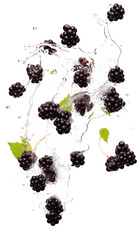 Blackberries with Leaves and Water Splashes, Transparent Background, PNG, Fresh Fruit Image