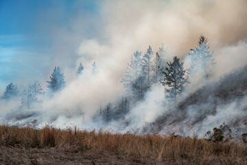 Obraz na płótnie Canvas Firefighters Fighting Wildfire