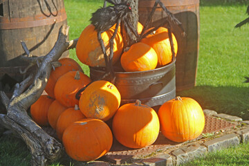 pumpkin and pumpkins
