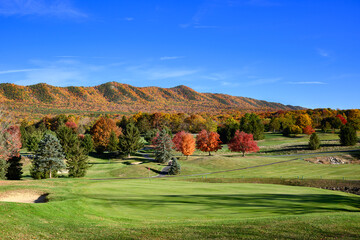 A lush green and well-groomed golf course in Massanutten Resort in VA is surrounded by beautiful leaves and their color in Autumn.  Autumn in VA is a very Special Season.
