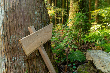 Wooden Sign on Winding Forest Trail
