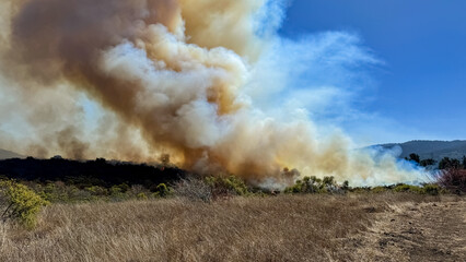 Fototapeta premium Wildfire Out of Control