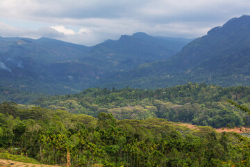 Fototapeta na wymiar Mountains on Sri Lanka