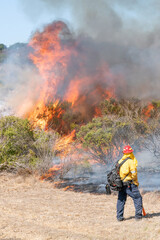 Obraz premium Firefighter Fighting Wildfire