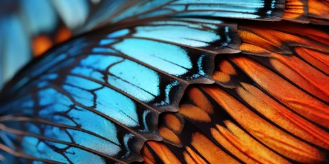 Cercles muraux Photographie macro close up butterfly wing blue and orange colors, generative AI