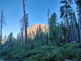 Hiking in Yosemite National Park, California (Half Dome)