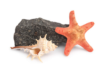 Beautiful sea star, stone and seashell isolated on white