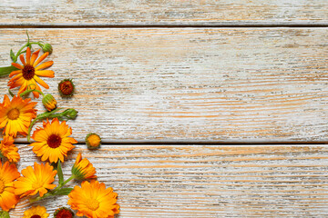 Beautiful fresh calendula flowers on wooden table, flat lay. Space for text