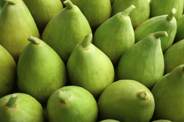Many fresh green figs as background, closeup