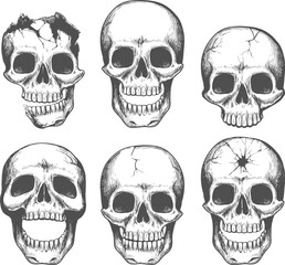Skull face sketch set
