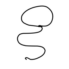 Cowboy Rope Vector 