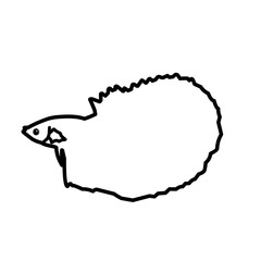 Outline Betta Fish 