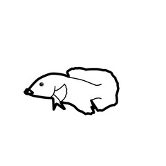 Outline Betta Fish 