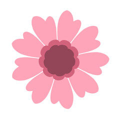 Pinkdaisy flower cartoon 