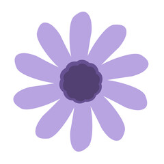 purple flower