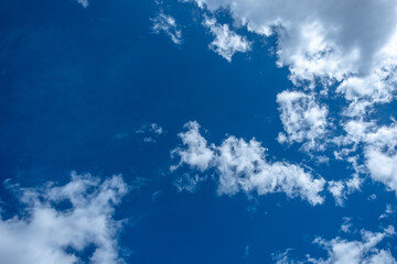 Looking up at a vibrant blue sky dotted with white clouds backlit by the warm summer sunshine.