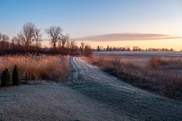 The snowy berm leading into Seminary Wood
