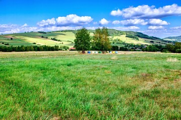 Alpine meadows in the Carpathians, Poland. View of an apiary with colorful beehives.