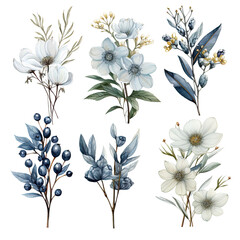 Winter Flowers Elements: Chic Watercolor Illustrations for Seasonal Art and Design
