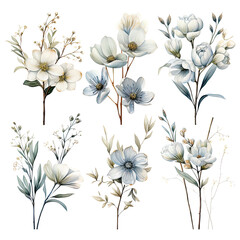 Winter Flowers Elements: Chic Watercolor Illustrations for Seasonal Art and Design