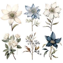 Winter Flowers Elements: Chic Watercolor Illustrations for Seasonal Art and Design