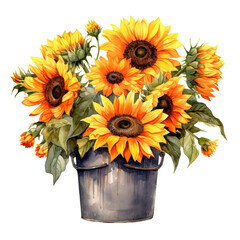 sunflower in a pot, watercolor, isolated background