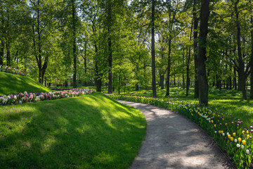Fototapeta na wymiar View of the alley and Flower Slide in Gatchinsky Park on a sunny summer day, Gatchina, Leningrad region, Russia
