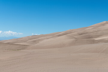 Fototapeta na wymiar Gently sloping sand dunes under a bright blue sky at Great Sand Dunes National Park in southern Colorado