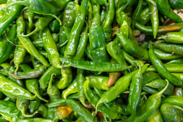Close-up of a bushel of fresh green chile peppers, spicy food, southwest, autumn, winter, organic produce, green and red