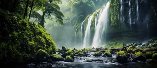 Fototapeten Madakaripura Waterfall an exquisite cascade amidst the lush forests of East Java Indonesia © 2rogan