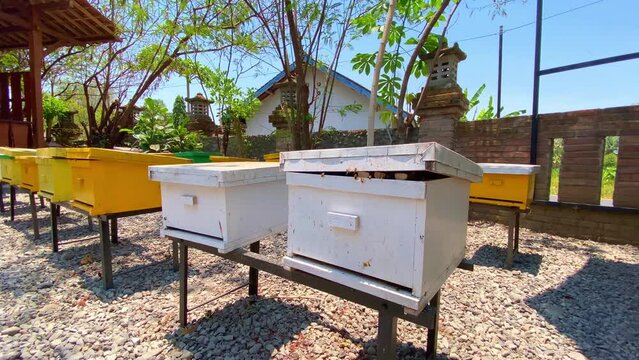 Wooden beehive box on apiary. Beekeeping farm