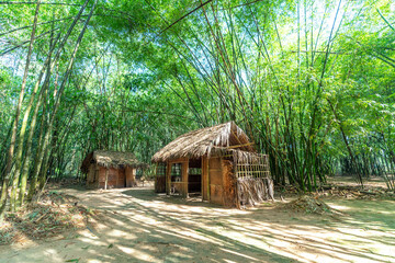 Temporary accommodation or hut in the green bamboo forest.