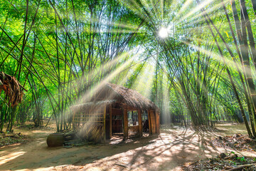 Temporary accommodation or hut in the green bamboo forest with ray of lights at Binh Duong, Vietnam.