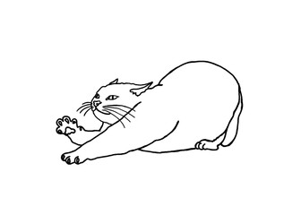 Animal - Adorable Cat, Kitty, Kitten Illustration