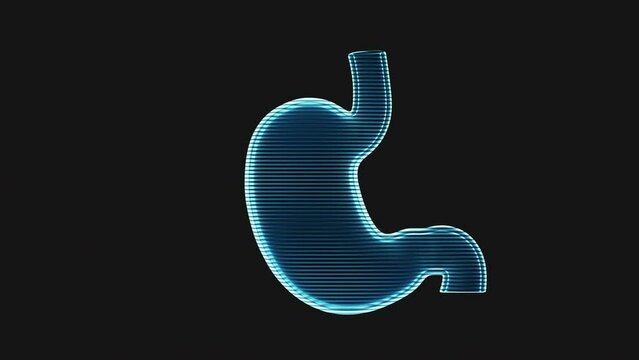 Loop animation of stomach with holographic effect, 3d rendering.