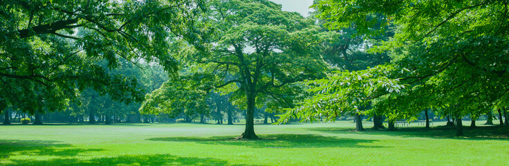 green garden banner