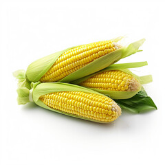 corn isolates on white background 