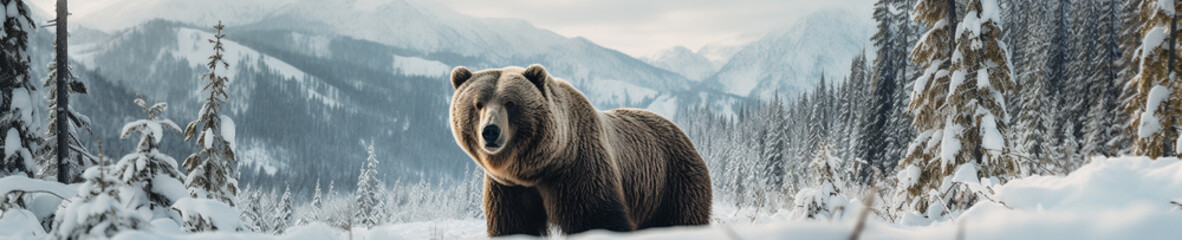 A Banner Photo of a Bear in a Winter Setting - obrazy, fototapety, plakaty