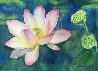 Watercolor painting of lotus flower
