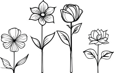 Hand drawn sketch flowers and Vector illustration, Botanical arts. Hand drawn continuous line drawing of abstract flower, floral, rose, tropical leaves, spring.