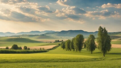 Fototapeta na wymiar a peaceful landscape, serene rural landscape with lush green fields, sky and peaceful sunlight 