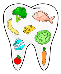 Good Foods for your teeth. Dental care concept. Illustration in flat design. Collection of Foods placed on abstract tooth shape.